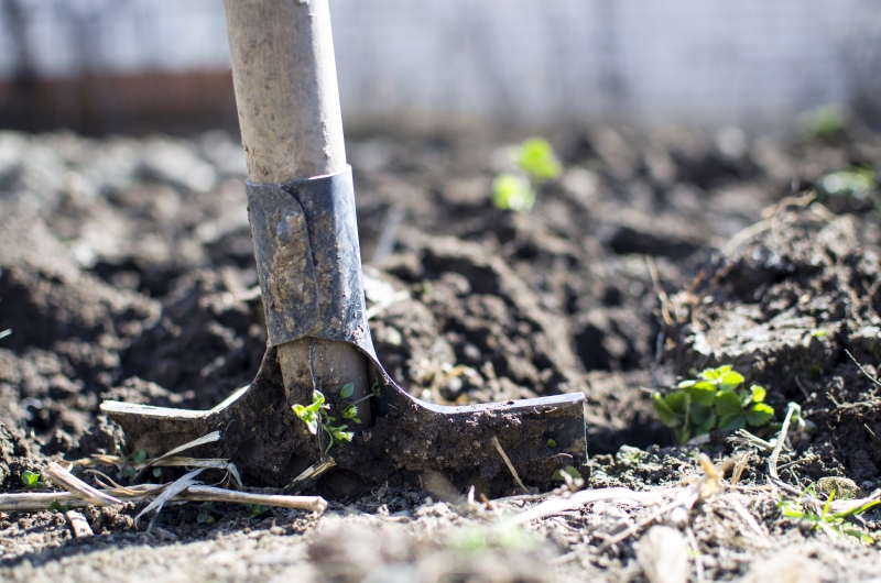 jardinerie-BAUDINARD SUR VERDON-min_equipment-2047314